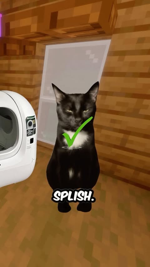 Instagram post by @chill.cat.guy for Petkit. Caption reads: [...] letterbox 🤯🤯 I totally recommend PETKIT’s....