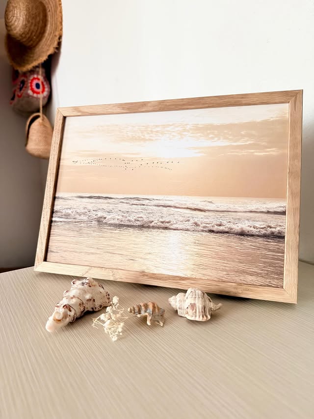 Instagram post by @ladyessegici for Poster Store. Caption reads: [...] calm in my home 🐚🌊🪸 Love my new....