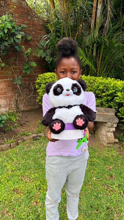 Instagram post by @luluspov_ for Prima Toys. Caption reads: Meet Phindy’s new ‘Little Live Pets’ friend....