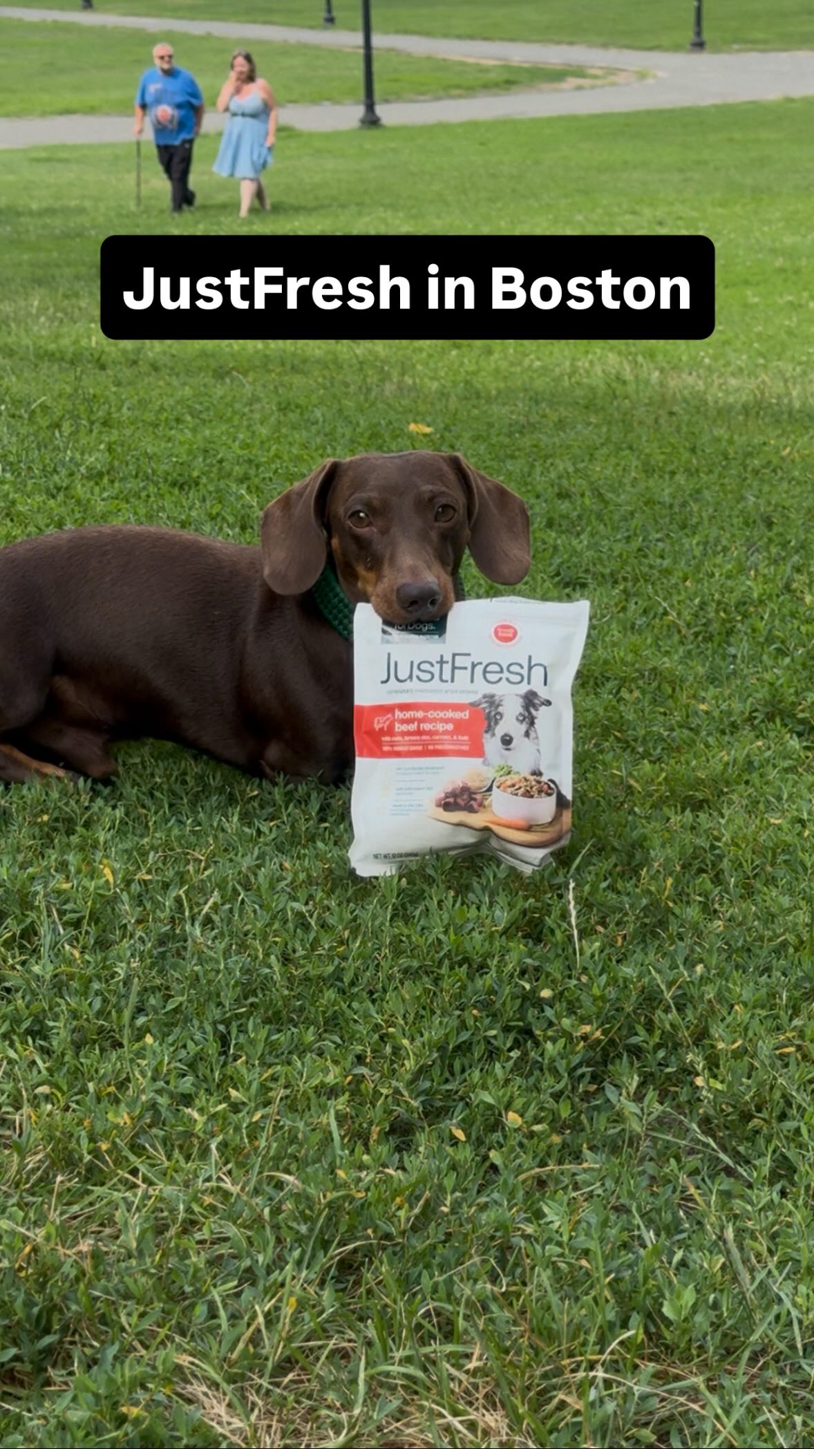Instagram post by @parker.dachshund for JustFoodForDogs. Caption reads: Feeding fresh while traveling just got a little....