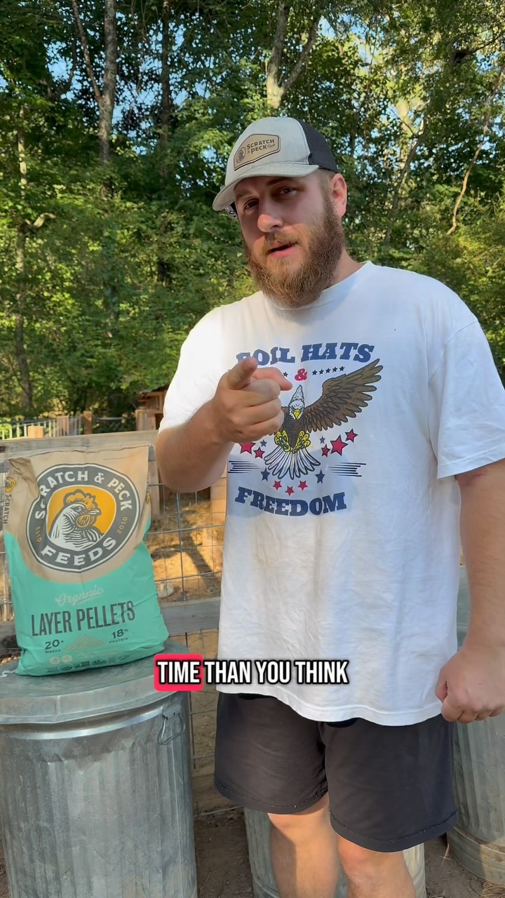 Instagram post by @bandrhomestead for Scratch and Peck Feeds. Caption reads: [...] best chicken feed on the planet....