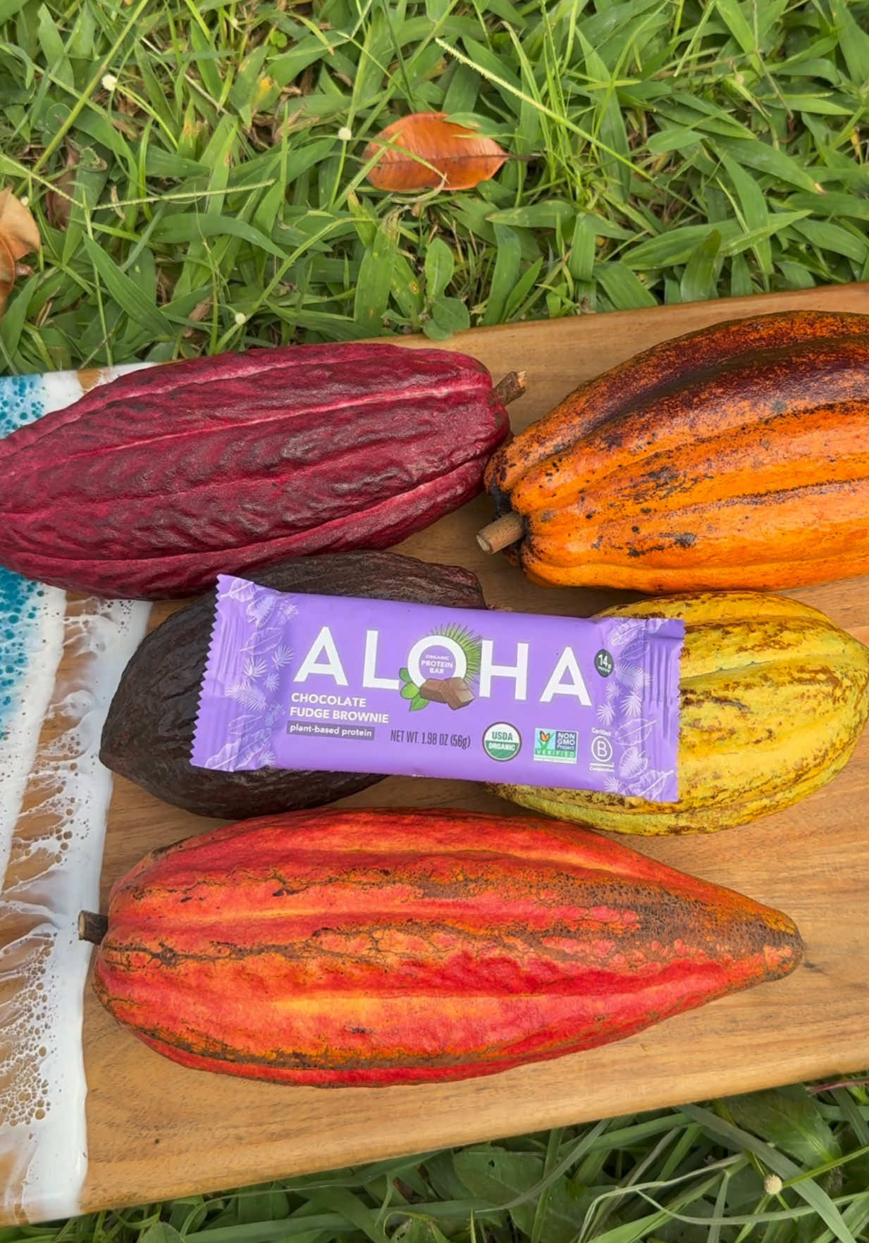 TikTok post by @gray.davis for Aloha. Caption reads: How it grows: Cacao with @ALOHA #fyp #foryoupage....