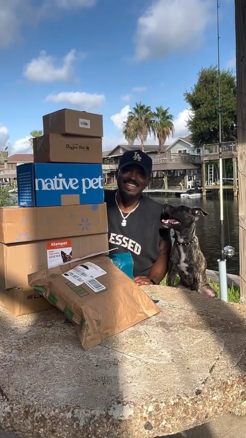 Instagram post by @suitelifeof_zachandkoda for Native Pet. Caption reads: [...] @relieffactor @doggiesdelila @nativepet....