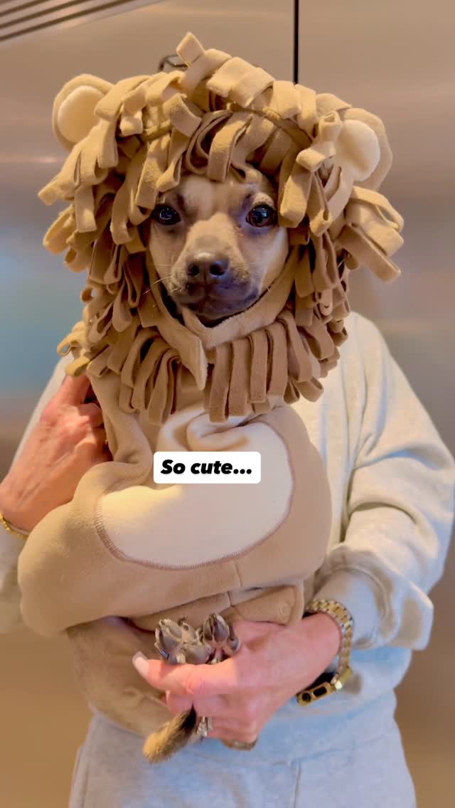 Instagram post by @amira.amiracle for Spirit Halloween. Caption reads: Tell us how you really feel Wyatt. He’s such an....