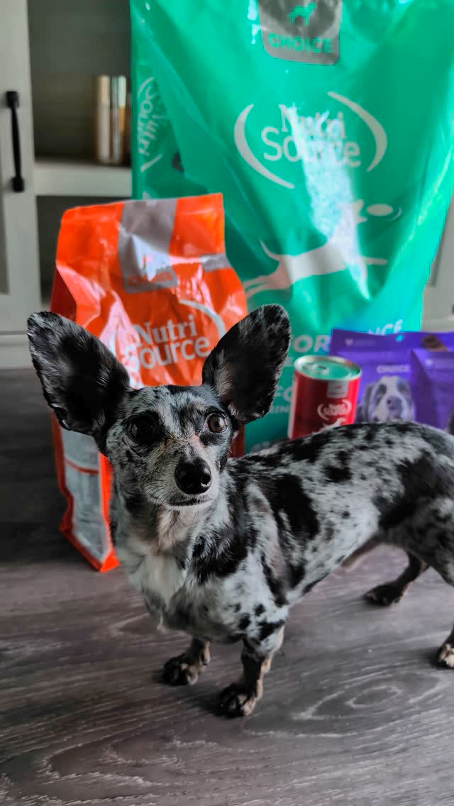 Instagram post by an influencer for NutriSource Pet Foods. Caption reads: [...] keep making. 💯 #ad #NutriSourcePetFoods....