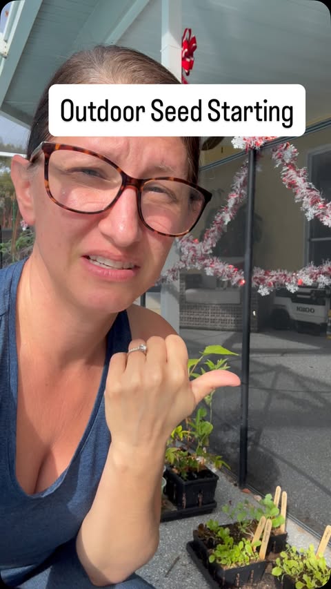 Instagram post by @homegrown.florida for Epic Gardening. Caption reads: I think that the way that I start seeds is a....