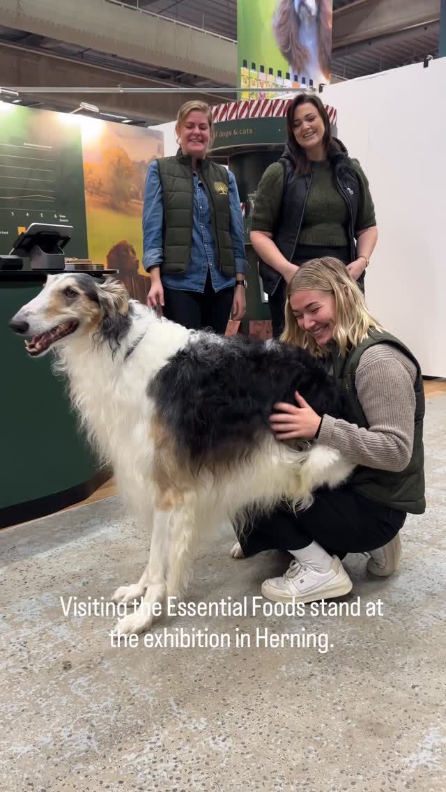 Instagram post by @zarwoe.oligarch for ESSENTIAL FOODS. Caption reads: [...] all the sausages to others 😅

(Ad)....