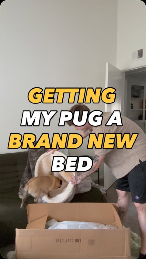 Instagram post by @cameronpug for Snoozer Pet Products. Caption reads: my pug cam is a blanket hog, she is literally....