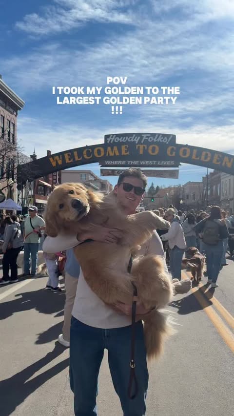 Instagram post by @zebbythegolden for Hertz. Caption reads: [...] at Goldens in Golden as a member of the....