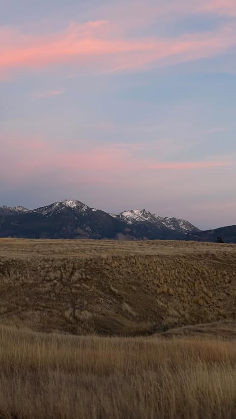 Instagram post by @tesscvikota_ for Tecovas. Caption reads: The perfect boot for every occasion @tecovas 💫❄️....