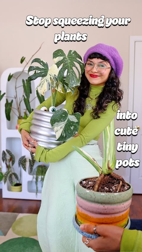 Instagram post by @samspantsandplants for Rosy Soil. Caption reads: [...] My plants food of choice is always @rosysoil....