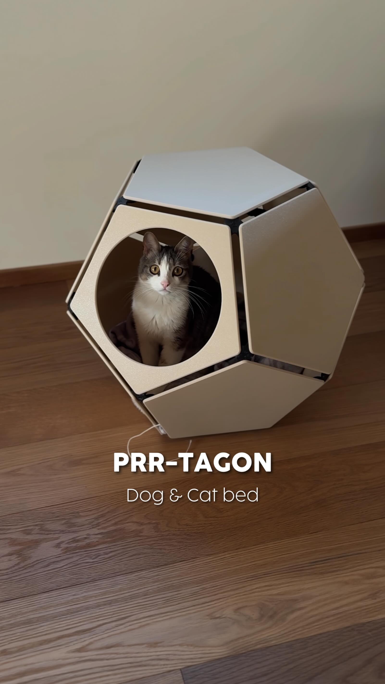 Instagram post by @af_inventions for Creality. Caption reads: PRR-TAGON | LINK IN BIO
•
Forget boring pet beds!....