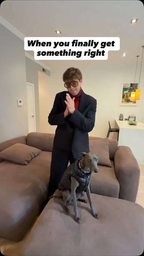 Instagram post by @_liammoore for Koala. Caption reads: [...] sh*t hot sofa to become a “Good boy!” @koala....
