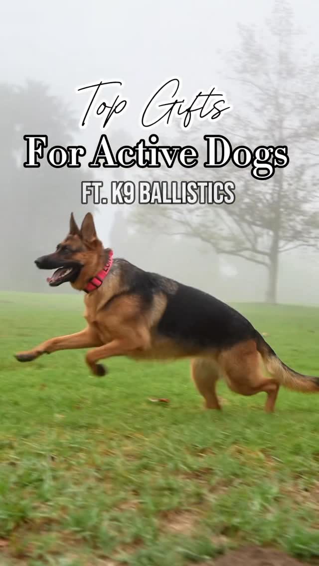 Instagram post by @sweetlunagsd for K9 Ballistics. Caption reads: [...] this holiday season 🎁
Luna-approved....