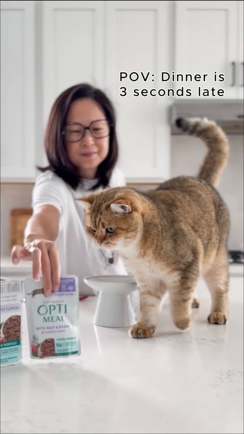 Instagram post by @two.golden.cats for Optimeal. Caption reads: [...] about what we feed our furbabies 🥘....
