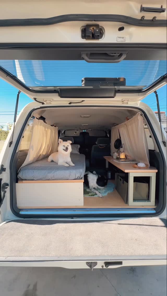 Instagram post by @wah.wuu for Toyota USA. Caption reads: it’s because I’m trying to not be around, why else....