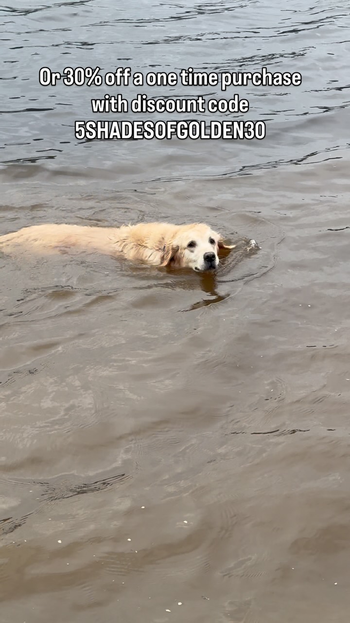 Instagram post by @5_shades_of_golden for YuMOVE. Caption reads: 💚YuMOVE’s sale is now on!!💚 Get 55% off your....