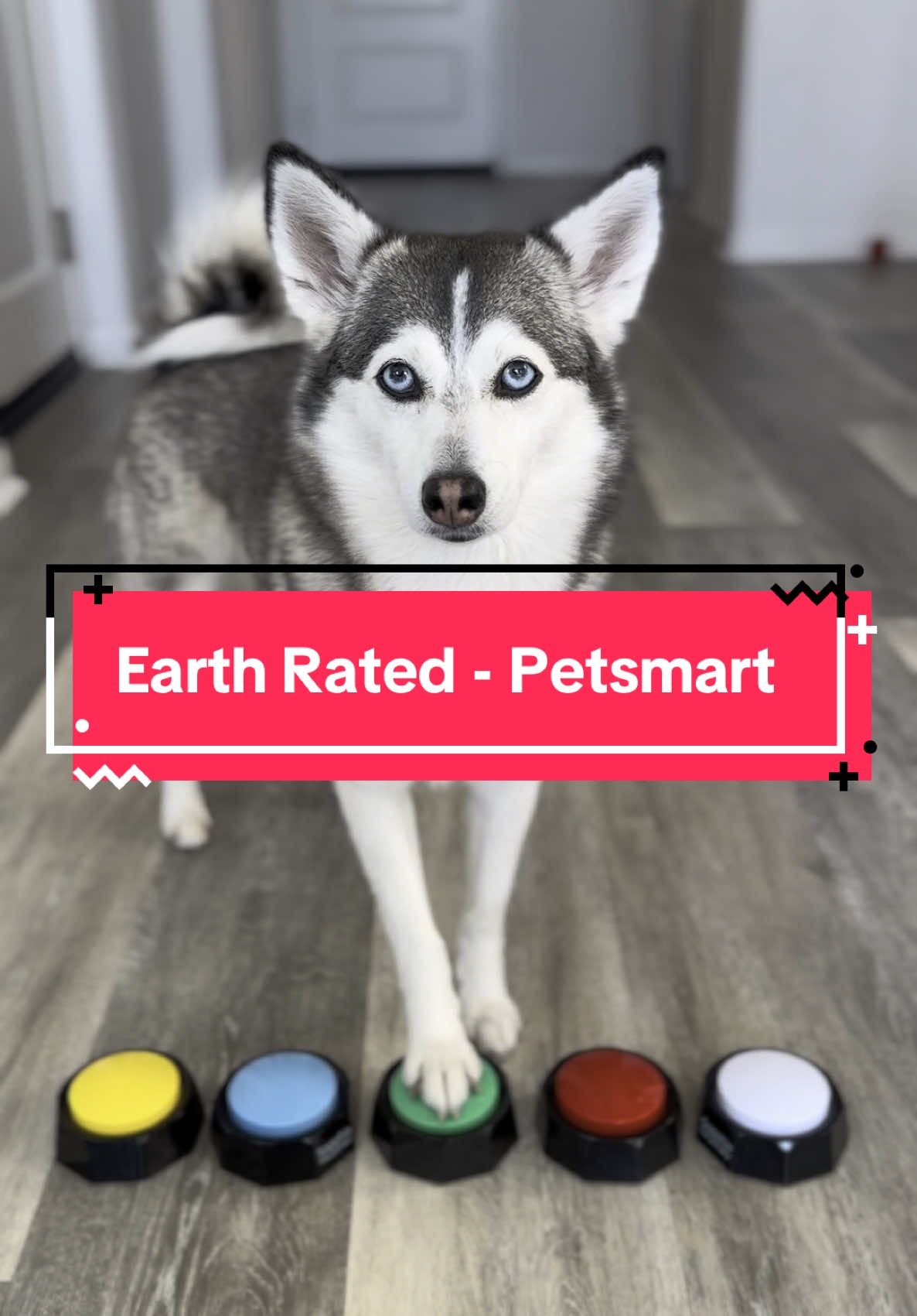 TikTok post by @sapphie_the_pomsky for PetSmart. Caption reads: @earthrated grooming wipes and poop bags make....