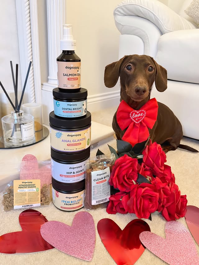 Instagram post by an influencer for DogSuppy UK. Caption reads: ♥️🐾♥️ Valentine’s Day is nearly here and there....