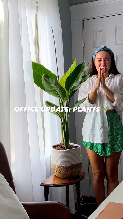 Instagram post by @itsjustmariajo for Costa Farms. Caption reads: the timing of getting a new (work from home) job....