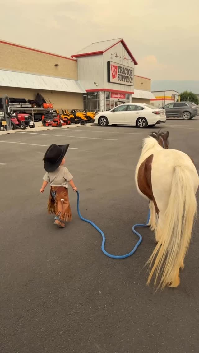 Instagram post by @wild_wood_farm for Tractor Supply. Caption reads: #sponsored @tractorsupply 🤠
You guys know we....