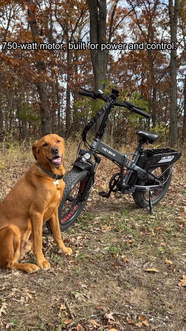 Instagram post by @adventures_of_the_dude_ for Heybike. Caption reads: 🚨 Heybike Black Friday Sale is live! Use code....