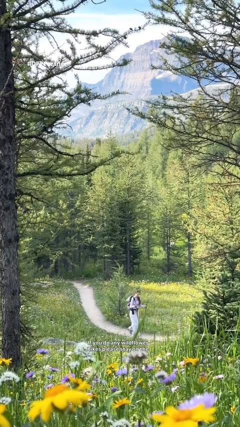 Instagram post by @kat_khoroshun for OFF. Caption reads: [...] hike without in summer? 🥾 For me, it’s....