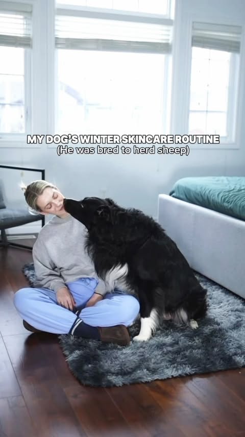 Instagram post by @curedbydogs for Skout's Honor. Caption reads: Anything I do for myself, I do for him first.......