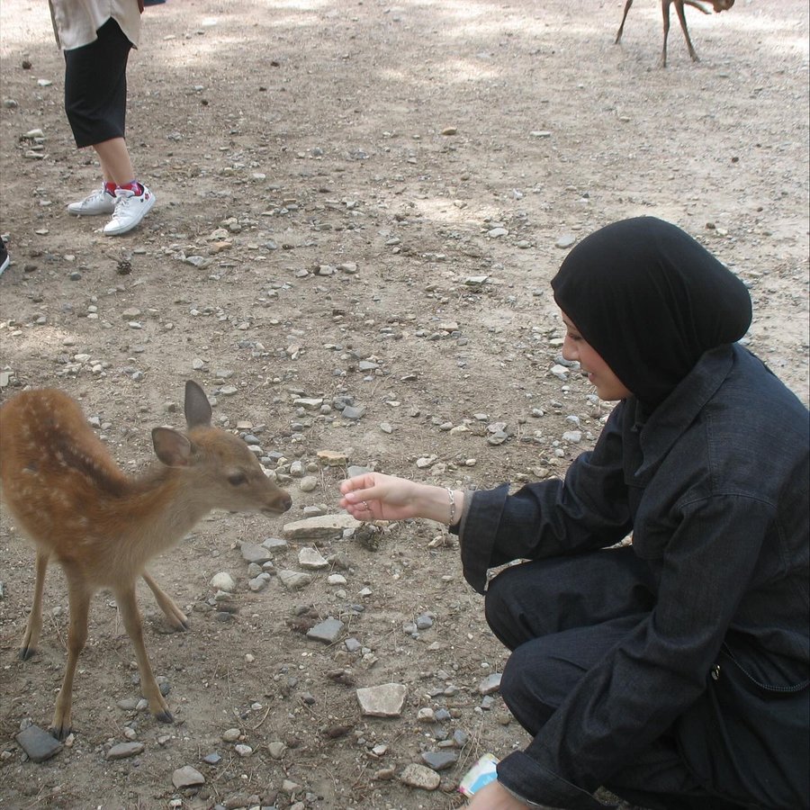 Instagram post by @aminasnotokay for LEWKIN. Caption reads: ladies i'm trying to do my work today 🫩.