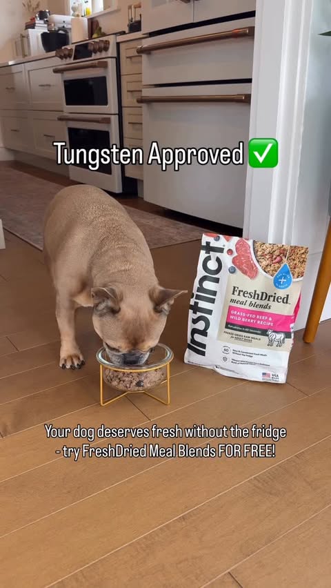 Instagram post by @tungstenfrenchie for Instinct Pet Food. Caption reads: [...] FreshDried Meal Blends from @instinctpetfood....