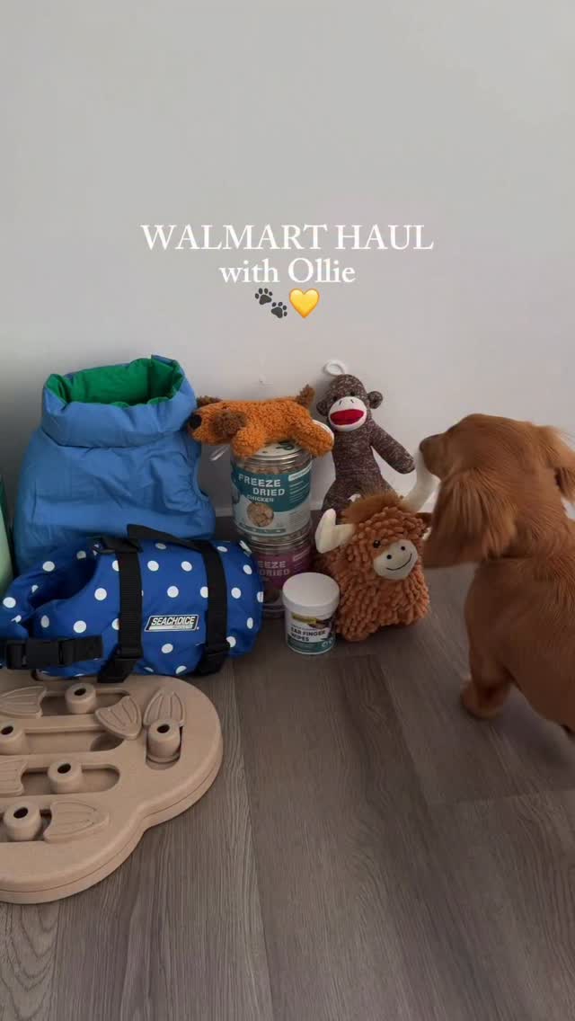 Instagram post by @lil.jolly.ollie for MagicLinks. Caption reads: [...] is linked in my bio! @walmart @magiclinks....