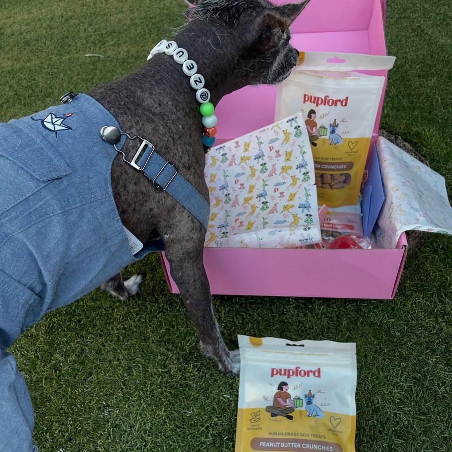 Instagram post by @zeusxolo for Pupford. Caption reads: Happy Birthday Pupford!
-Slide to see, read all....