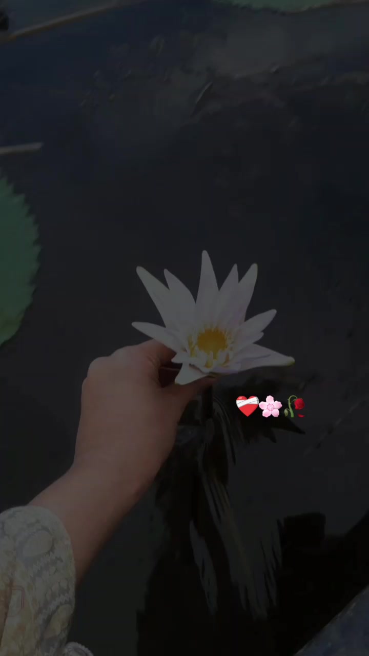 TikTok post by @fahimas14 for For You House. Caption reads: [...] #sylhety_furi @TikTok Bangladesh @For You....