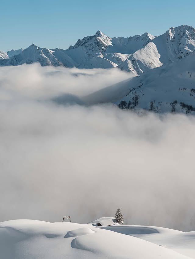 Instagram post by @iambastiano for Peak Design. Caption reads: some days are simply better than others ❄️

this....