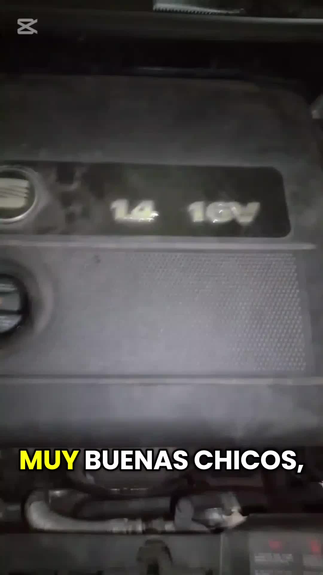 TikTok post by @grupovag2000 for Topdon. Caption reads: [...] caliente. #seat #vw #golf #ibiza #audi....