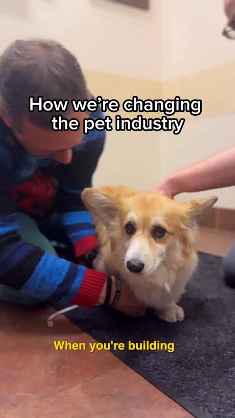 Instagram post by @madmax_fluffyroad for Notion. Caption reads: [...] isn’t organized, everything slows down.....