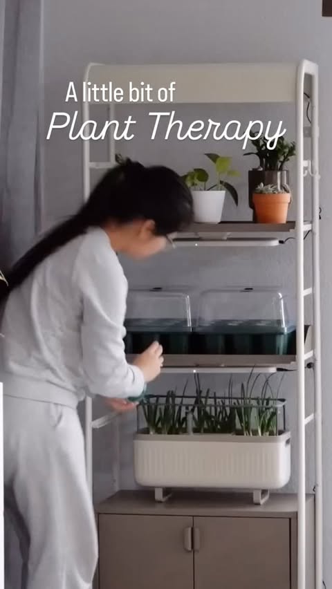 Instagram post by an influencer for Vego Garden. Caption reads: [...] to get $10 off your order!....