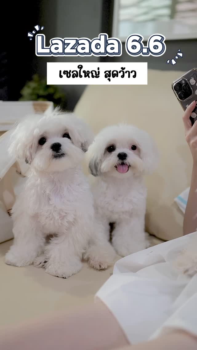Instagram post by @y.familyyy for LAZADA.co.th. Caption reads: ยายฝุ่งไม่ยอมซื้อของเล่นให้หมีก้า 
เพราะจะเก็บไว้ช....