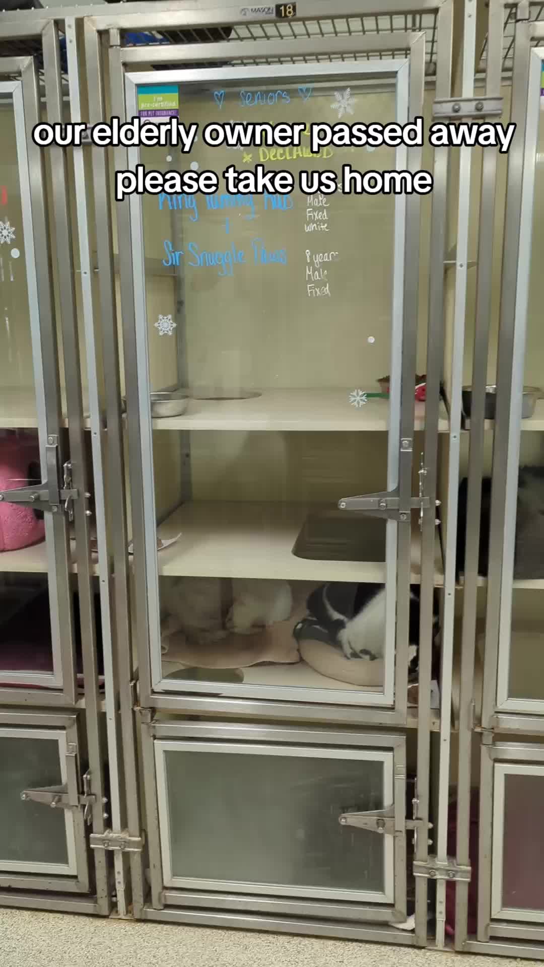 TikTok post by @brandnewkathryn for Philadelphia Eagles. Caption reads: [...] fees are still sponsored by @Philadelphia....