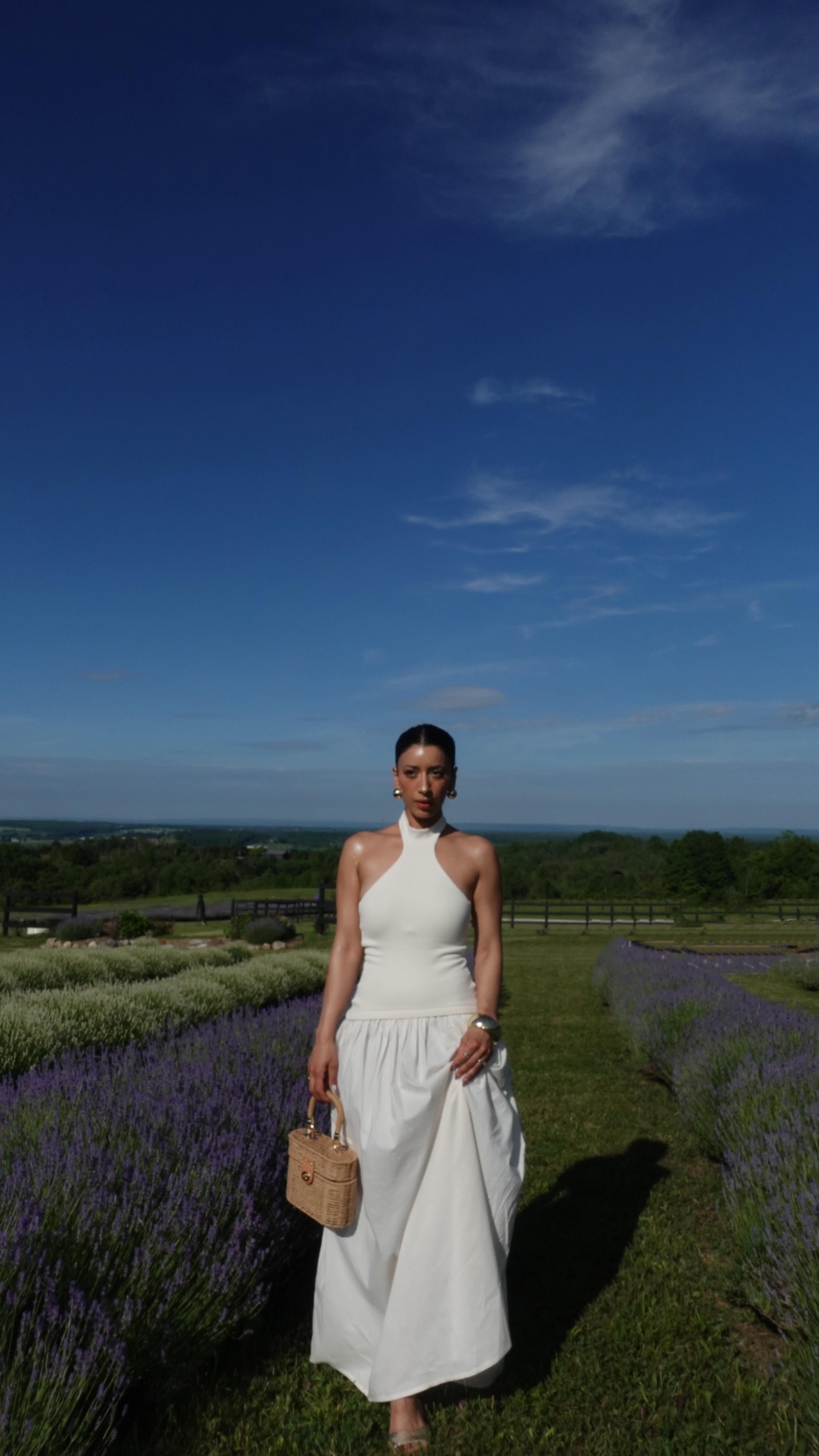 Instagram post by @shrutislookbook for Banish. Caption reads: ✅ WHAT YOU NEED:
	•	Banish microneedling tool....