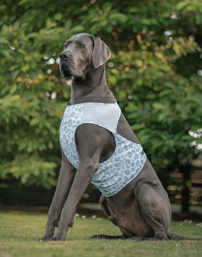 Instagram post by @sven.sune for PAIKKA. Caption reads: [...] as a breeze 🧊 Sven is staying cool in....