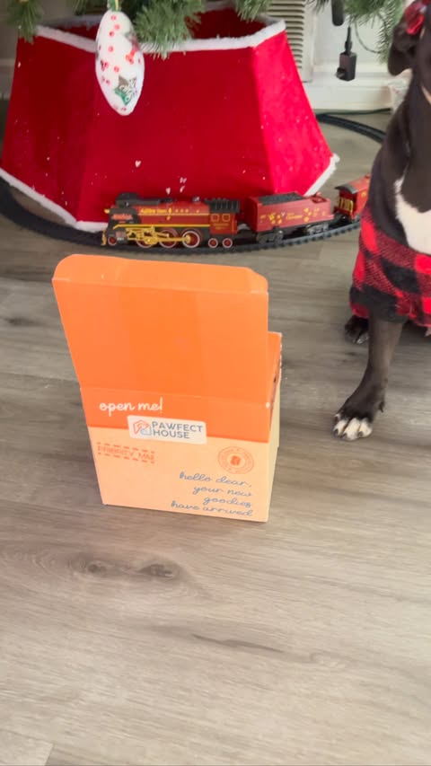 Instagram post by @simbanala_thepugs for Pawfect House. Caption reads: [...] mug with her name/initial from....