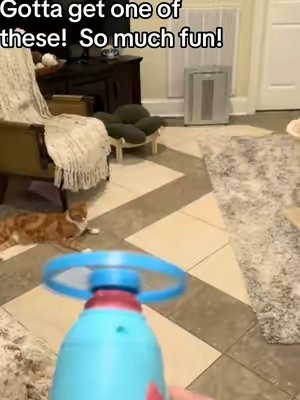 TikTok post by @cheetochannel for Larleaf. Caption reads: [...] toy! Cheeto approves! Thanks @Larleaf....