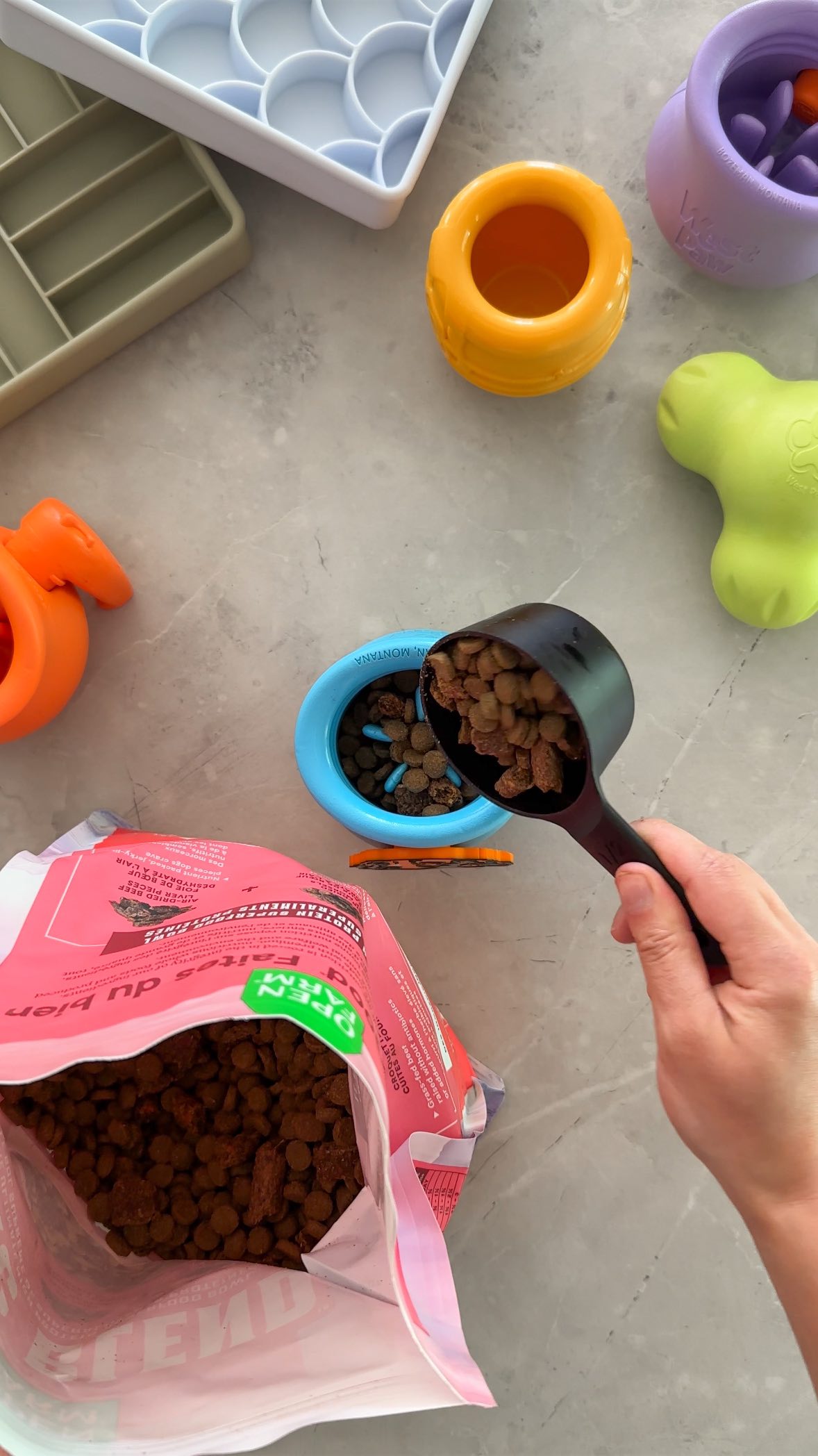 Instagram post by @hickory.dickorydog for Dogged. Caption reads: That heatwave was no joke 😅 We went through all....