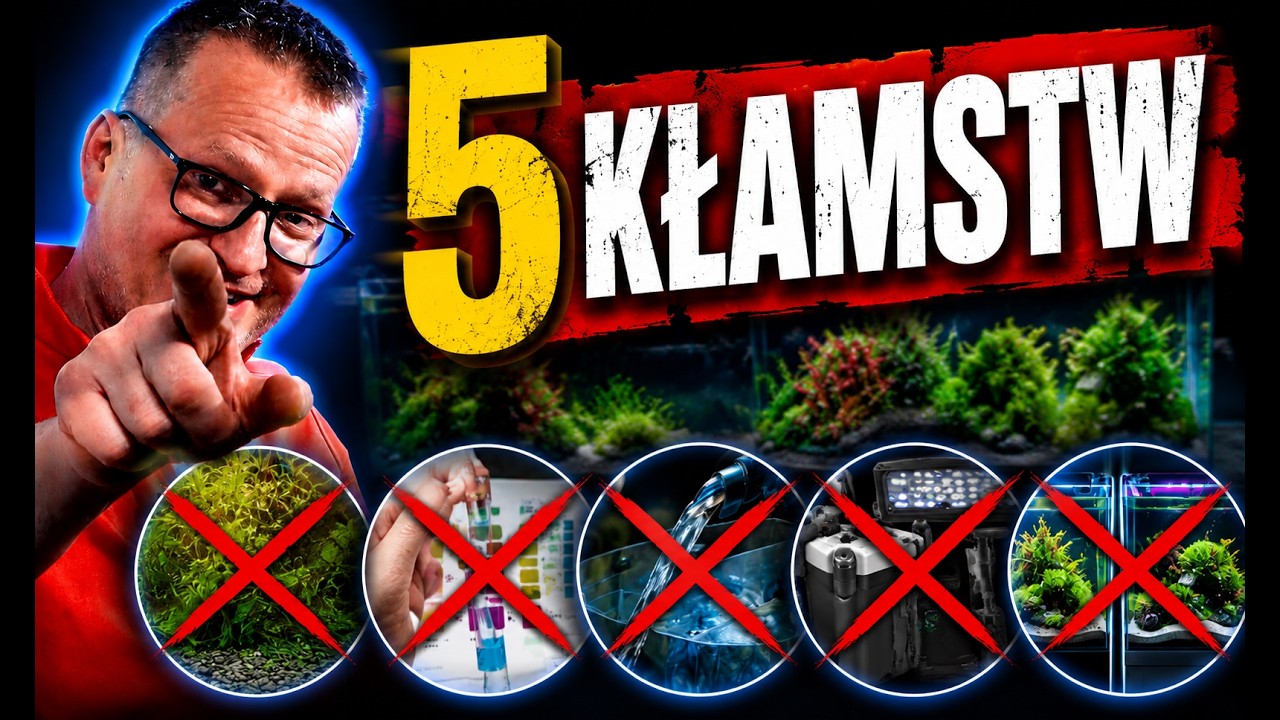 YouTube post by @Podwodneswiaty for buycoffee.to. Caption reads: The biggest lies in aquariums.