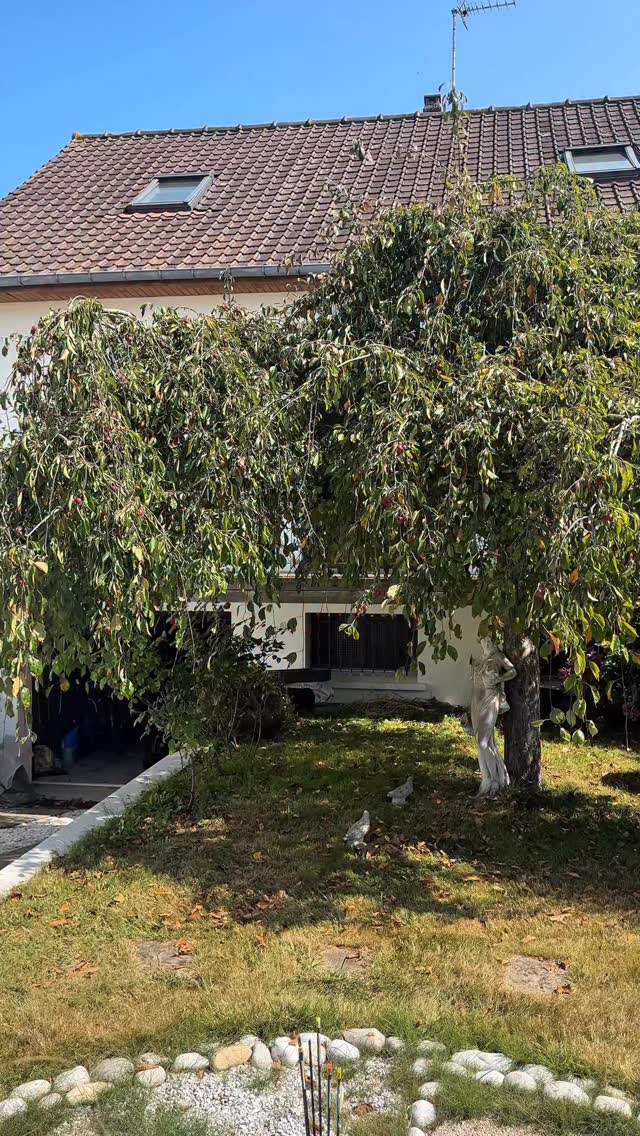 Instagram post by @emilienmalbranche for Leroy Merlin. Caption reads: Une bonne isolation et une bonne étanchéité, ça....