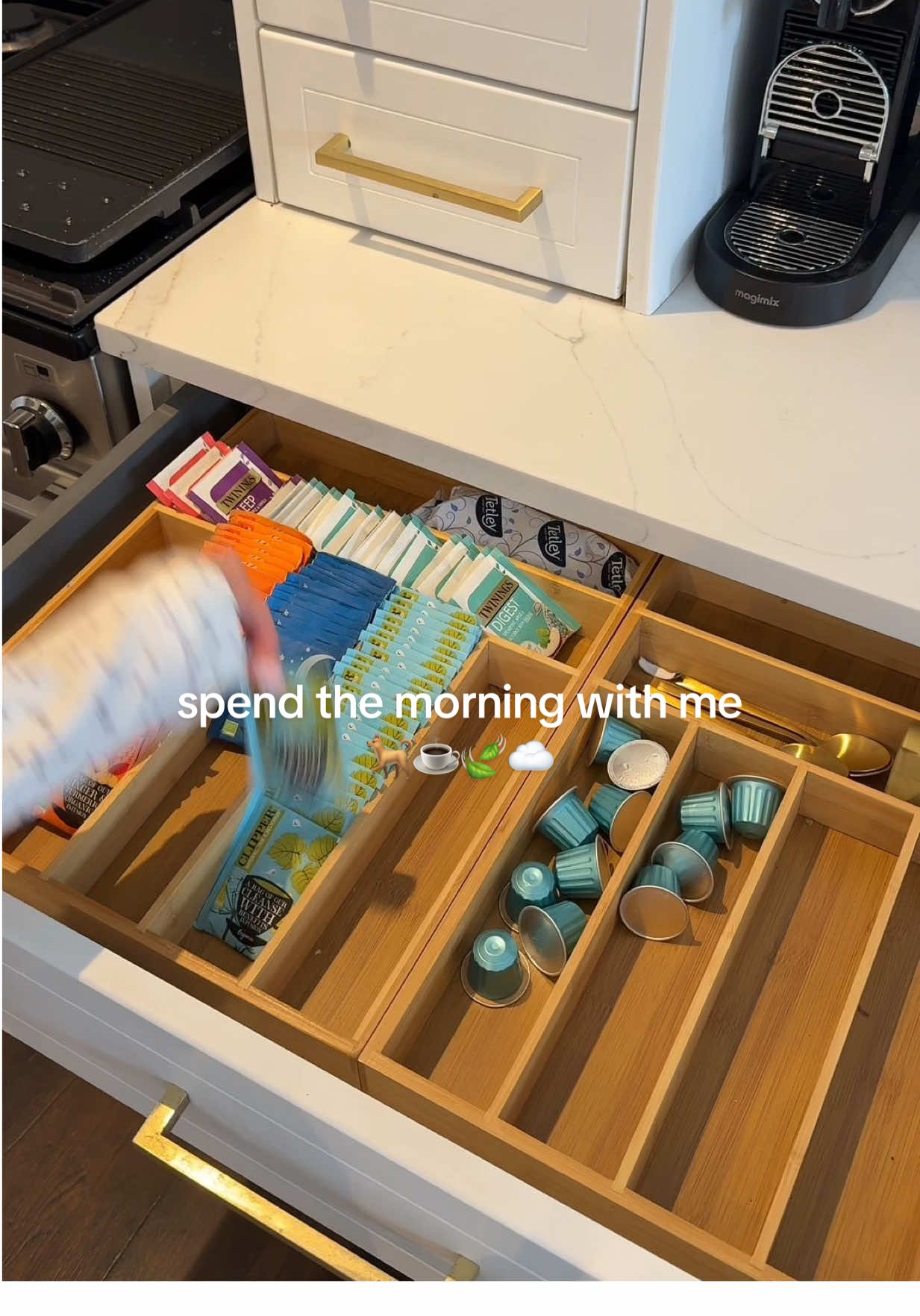 TikTok post by @tabbybellhome for Milky Plant. Caption reads: Spend the morning with me !! Introducing you to my....