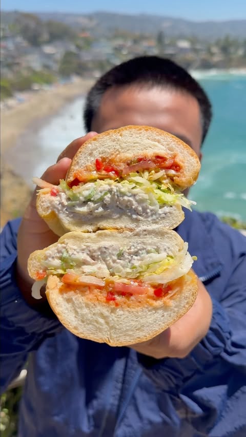 Instagram post by @lifeofcian_ for Jersey Mike's Subs. Caption reads: @jerseymikes Chicken Salad Sub makes this view....