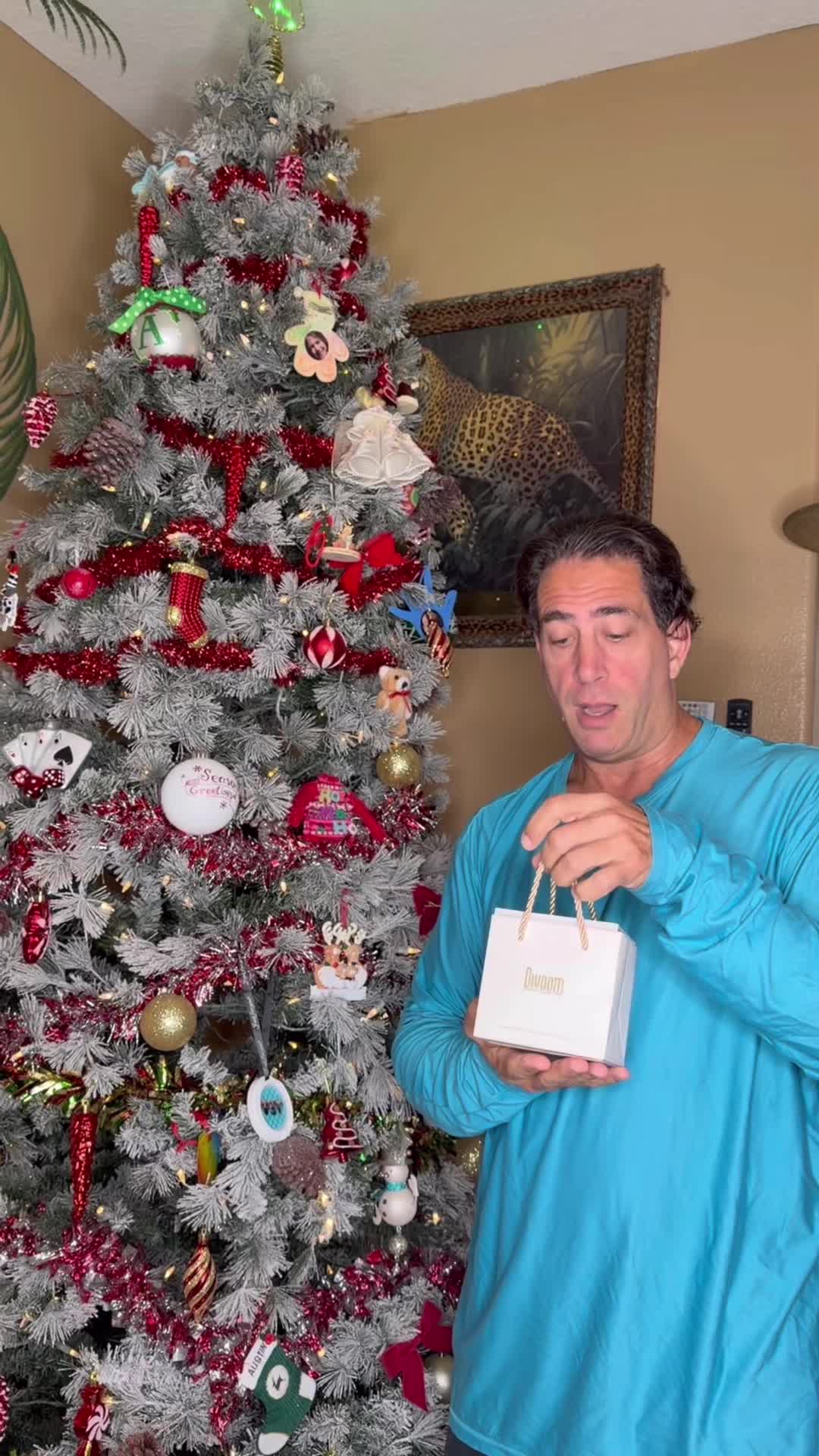 TikTok post by @mattgarry3 for Divoom. Caption reads: WHAT A PERFECT GIFT!!!! @Divoom #Divoom#Minitoo....