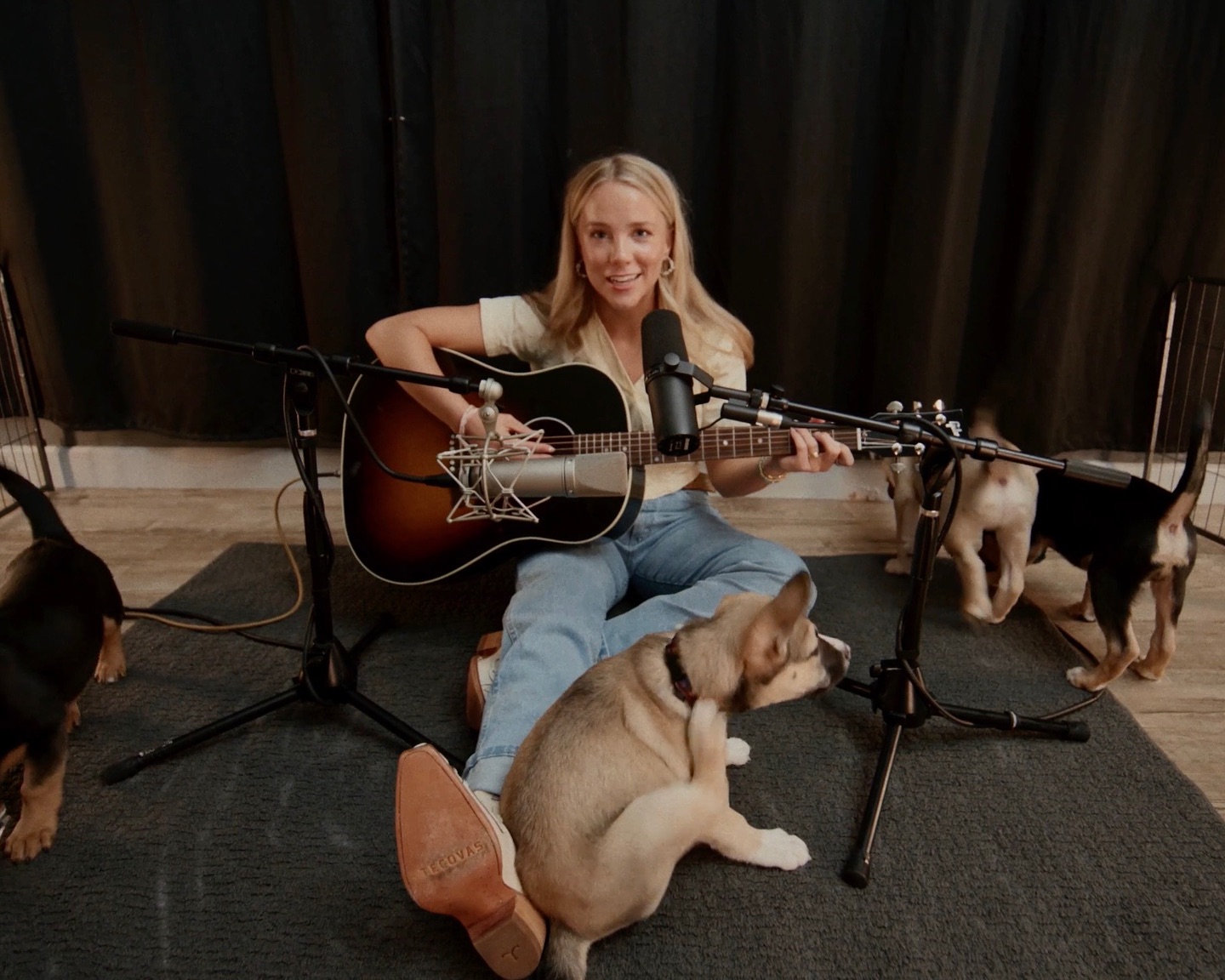 Instagram post by @avery.anna.music for WeRateDogs. Caption reads: Say hello to Buckle, Zipper, Velcro and Toggle.....